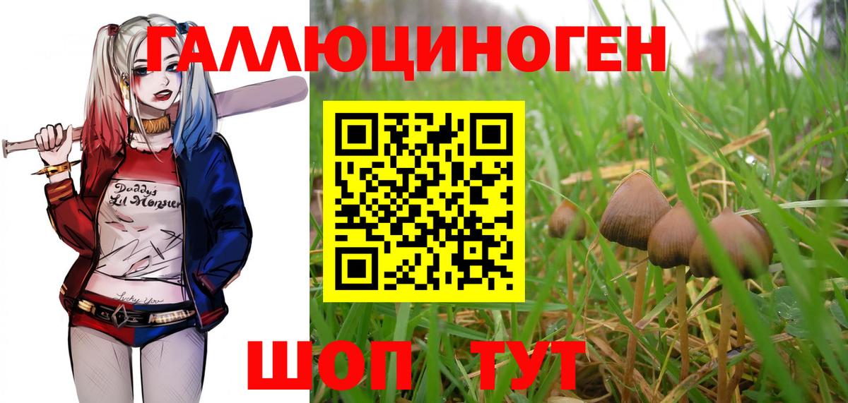 Галлюциногенные грибы Psilocybine cubensis  Вход с VPN  Сосновоборск  Галлюциногенные грибы MAGIC MUSHROOMS 